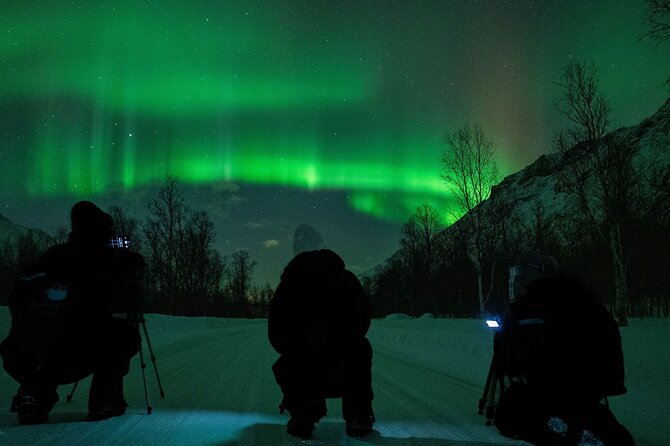 Tromsø: Express Aurora Hunt with Wandering Owl - Meet at Scandic Ishavshotel, then get warm fast