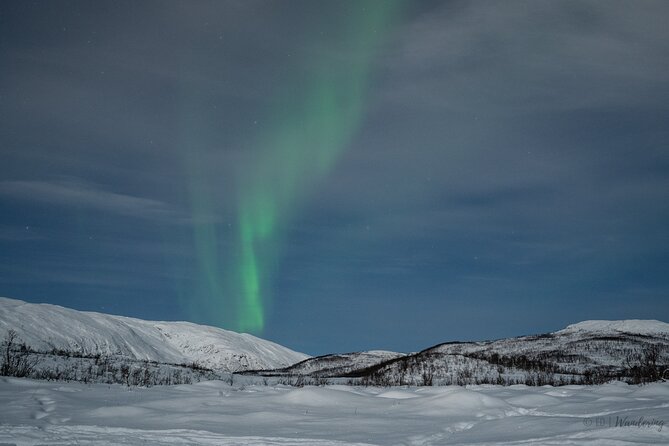Tromsø: Express Aurora Hunt with Wandering Owl - English-speaking guides, small group energy, and real explanations