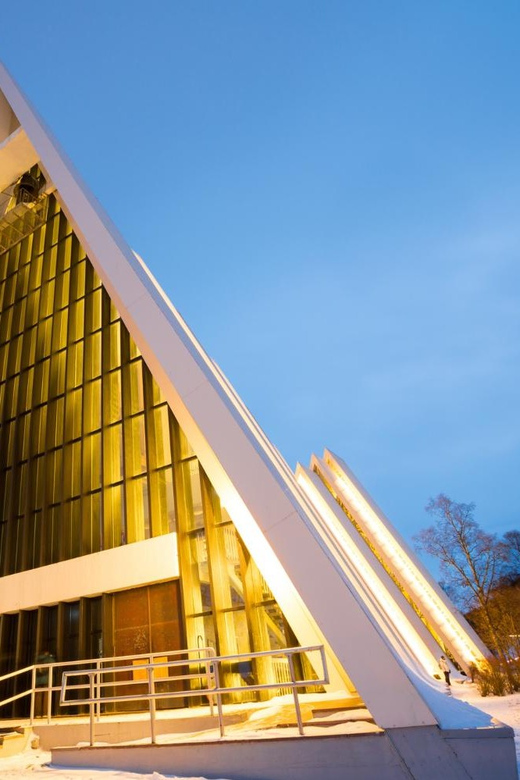 Tromso: Express Walk with a Local in 60 minutes - Northern lights talk: a realistic way to think about the aurora