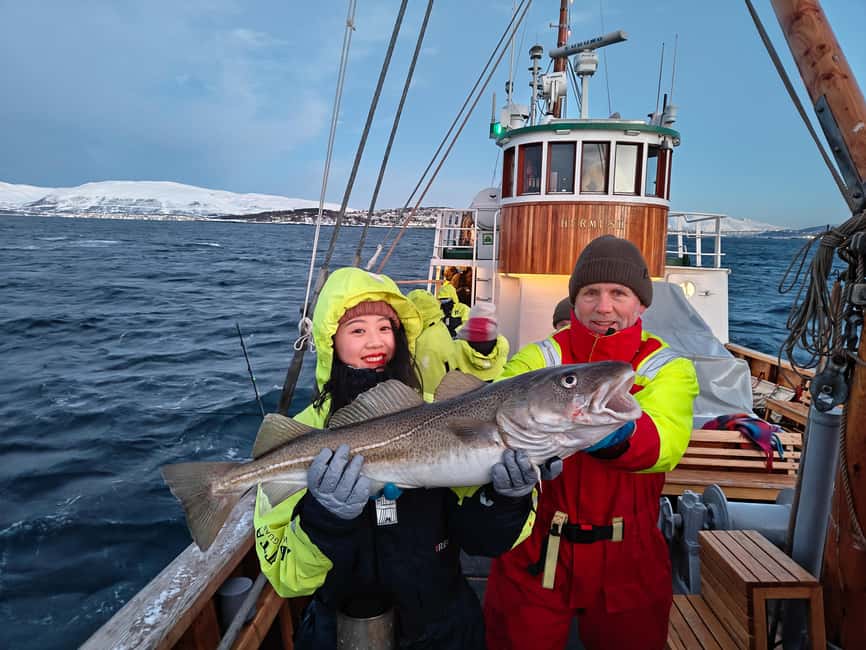 Tromsø: Fishing & Fjord Cruise - Key Highlights That Make This Trip Worth Your Time