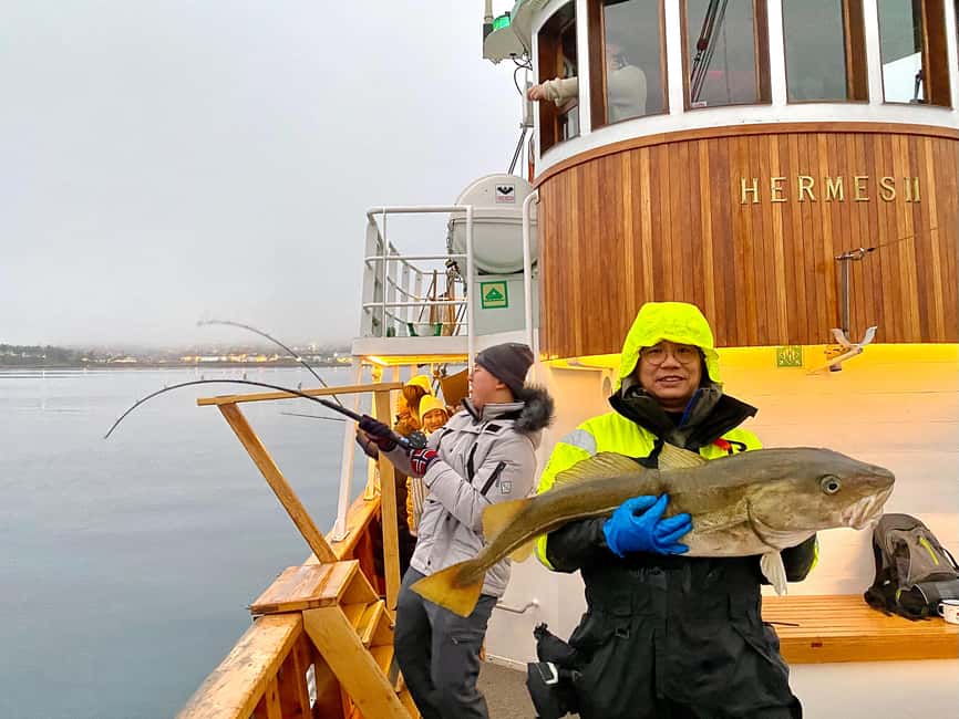 Tromsø: Fishing & Fjord Cruise - Fishing With Supplied Gear, With Real Coaching For First Timers