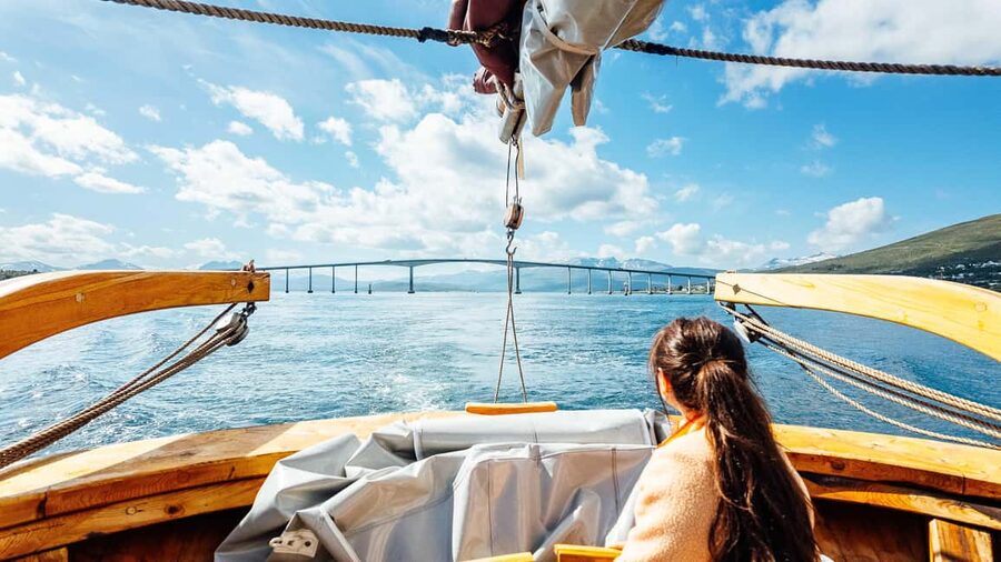 Tromsø: Fishing & Fjord Cruise - Fjord Views and Wildlife Chances, Including White-Tailed Eagles