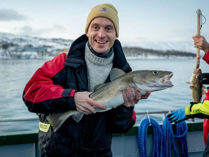 Tromsø: Fishing Sea Safari - Boat time in Tromsø waters: fjord scenery, wildlife viewing, and weather-smart route changes