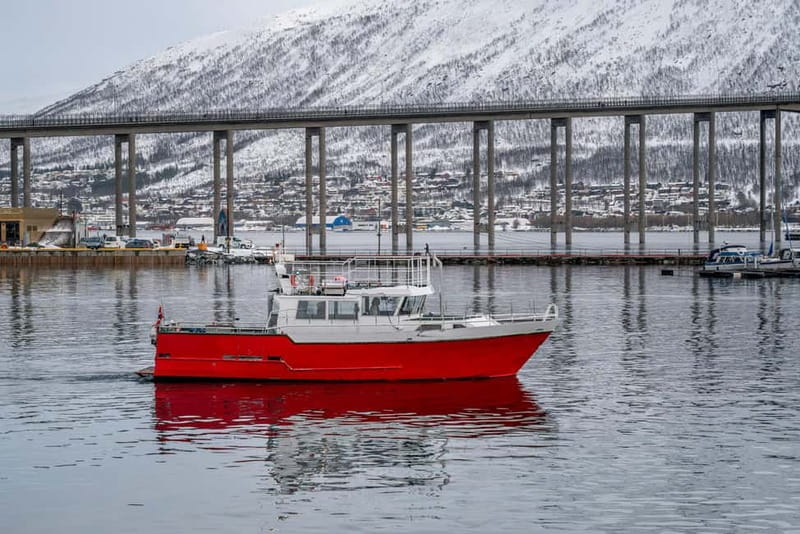 Tromso fishing Sea Safari - Stop 1 in Tromsø, a short seaside look to set the stage