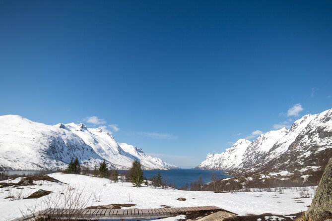 Tromsø: Fjord Adventure Tour with Wildlife and Lunch - Key highlights to look for