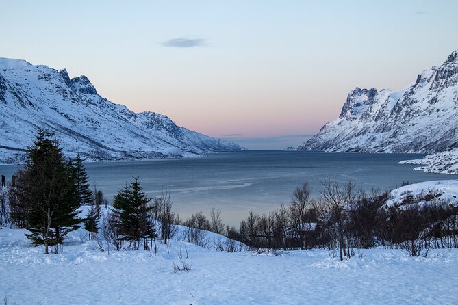 Tromsø: Fjord Adventure Tour with Wildlife and Lunch - Getting to Storgata 44 and making the most of the 10:00 am start