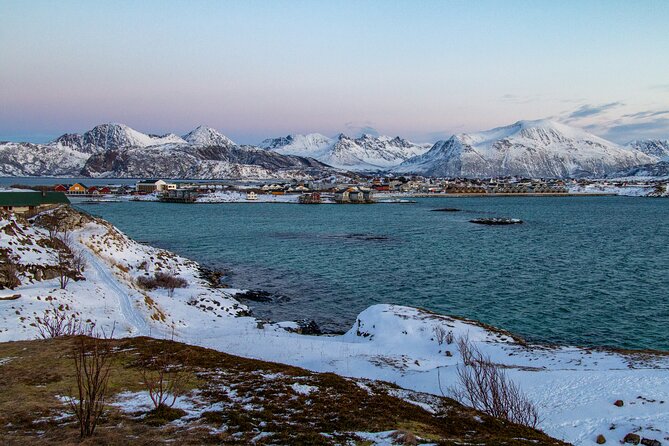 Tromsø: Fjord Adventure Tour with Wildlife and Lunch - Photo help that actually improves your shots in winter light