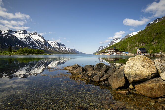 Tromsø: Fjord Adventure Tour with Wildlife and Lunch - Lunch by the sea: warm food, warm hands, and a real break