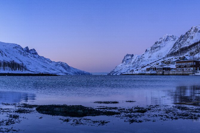 Tromsø: Fjord Adventure Tour with Wildlife and Lunch - Wildlife odds and what to do when animals are quiet