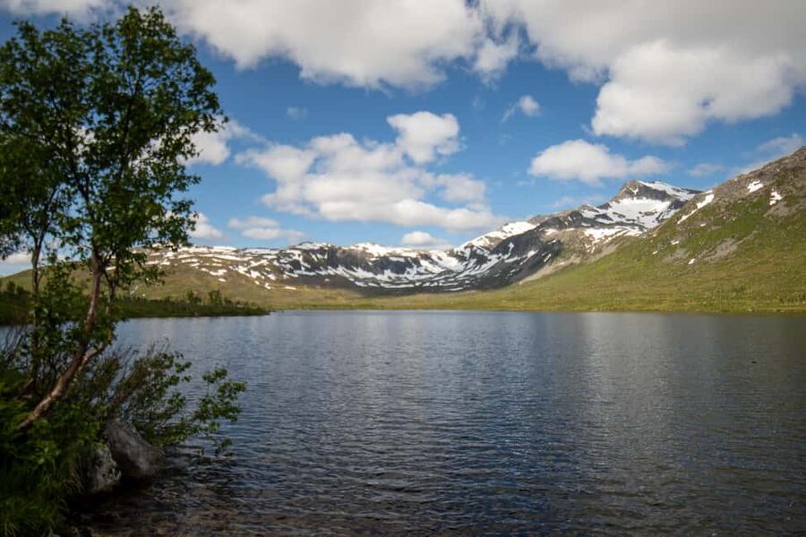 Tromsø: Fjord Adventure with Lunch and Photos - Sommarøy: Coastline Views, Short Photo Time, and Wildlife Odds