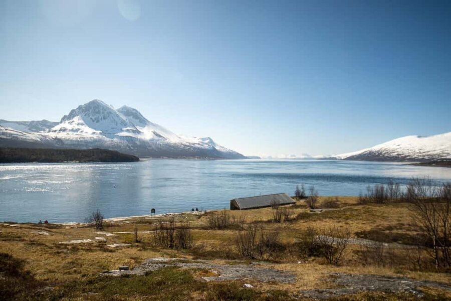 Tromsø: Fjord Adventure with Lunch and Photos - Hillesøy Lunch Stop: Warm Food, Hot Drinks, and Brunost Waffles