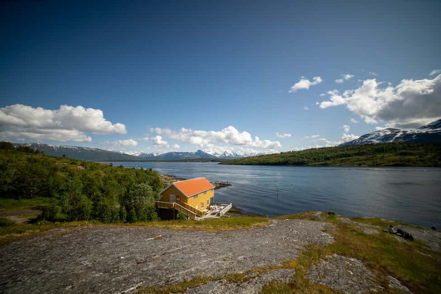 Tromsø: Fjord Adventure with Lunch and Photos - The Wildlife Angle: What You Might See, and How to Improve Your Odds
