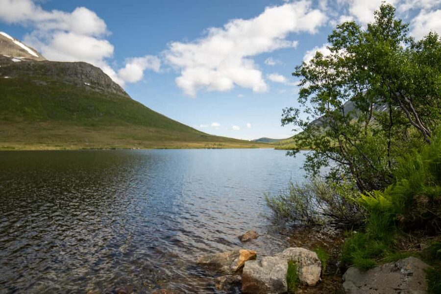 Tromsø: Fjord Adventure with Lunch and Photos - Guides, Stories, and Sami Culture Context
