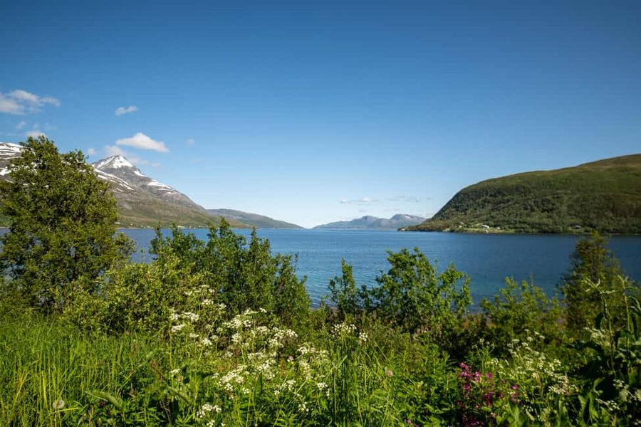 Tromsø: Fjord Adventure with Lunch and Photos - Price and Value: How $104 Fits a 6-Hour Fjord Day