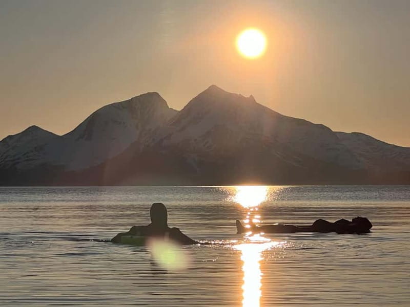 Tromsø: Fjord and Floating Safari, Arctic Floating - Wildlife and landscape spotting, with real-world expectations