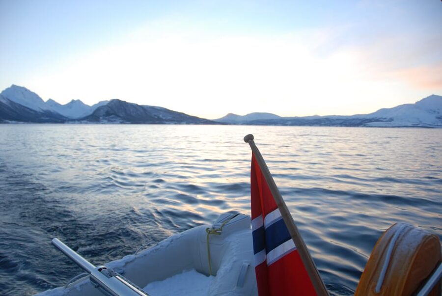 Tromsø: Fjord and Islands Luxury Catamaran Cruise - Who should book this cruise, and who might pass