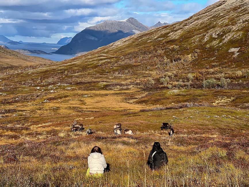 Tromso: Fjord Arctic Adventure Expedition - Guides make the difference: Nelson, Magdalena, and the photo coaching