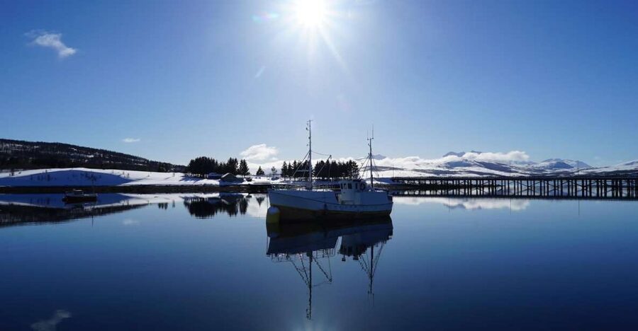 Tromsø: Fjord Cruise by Luxury Yacht - Norwegian Fish Soup and Snacks: Why the Meal Changes the Value