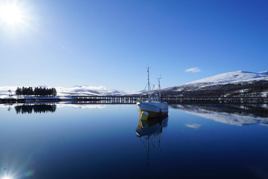 Tromsø: Fjord Cruise by Luxury Yacht - Luxury Yacht Expectations vs What You May Actually Experience