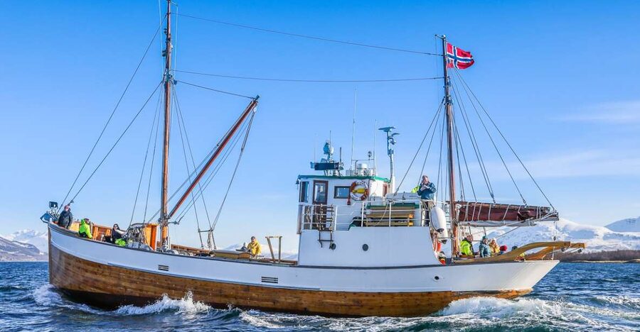 Tromsø: Fjord History Cruise with Snack and Drinks - The best part for wildlife lovers: eagles, seals, and reindeer odds