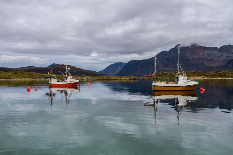 Tromsø: Fjord tour in a minibus to Sommarøy with fishsoup - Sommarøy: small island, big Nordic reality check