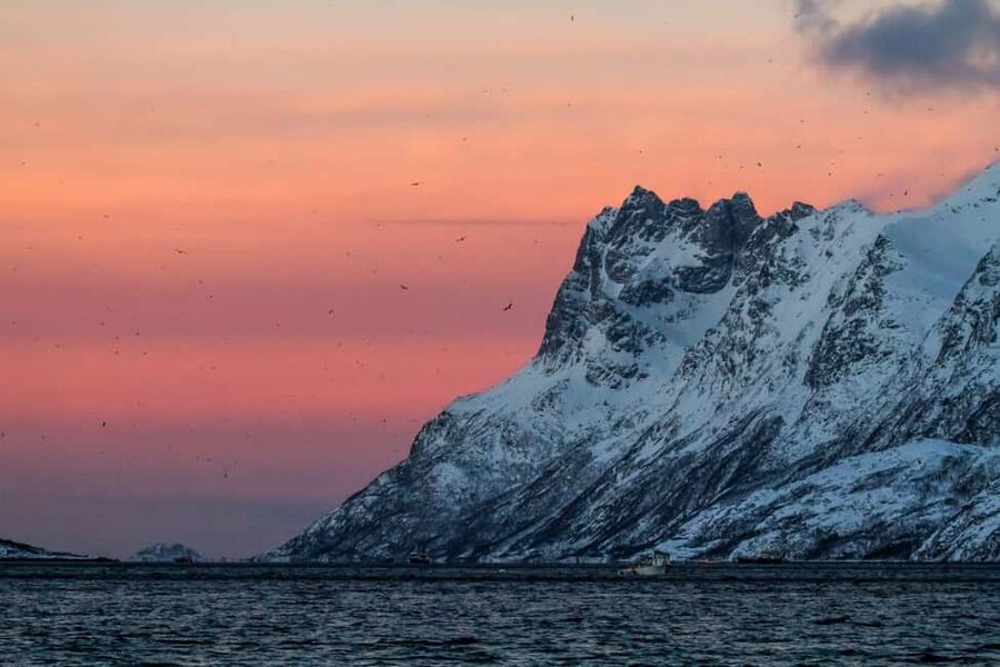 Tromsø: Fjord tour in a minibus to Sommarøy with fishsoup - Kattfjordeidet: the mountain valley story that makes the drive click