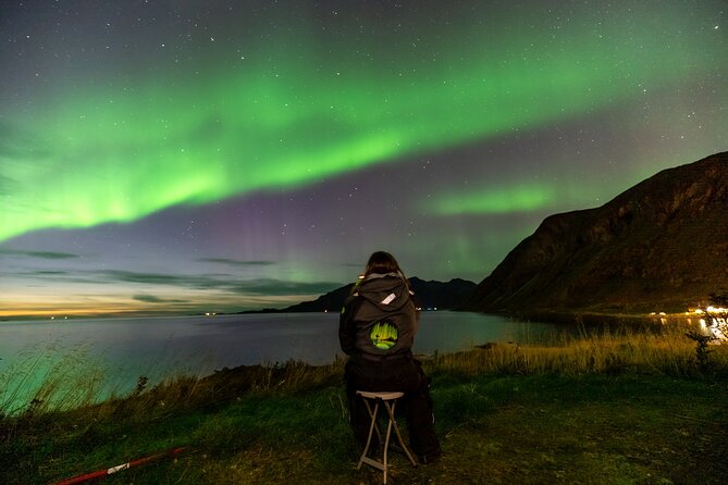 Tromsø Fjordland Aurora Chase Northern Lights by the Arctic Sea - Key things to know before you go