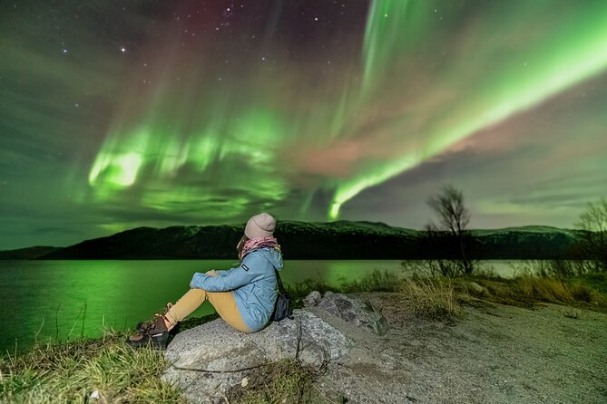 Tromsø Fjordland Aurora Chase Northern Lights by the Arctic Sea - The Value Check: $311.45 and What You Actually Get for It