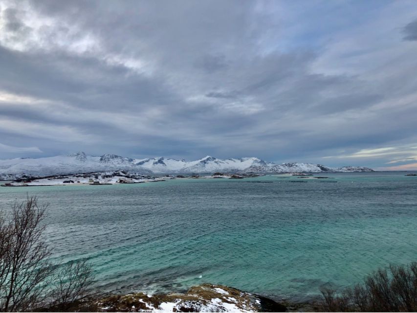 Tromsø: Fjords and Sommarøy Islands Tour with Salmon Picnic - Key things to know before you go