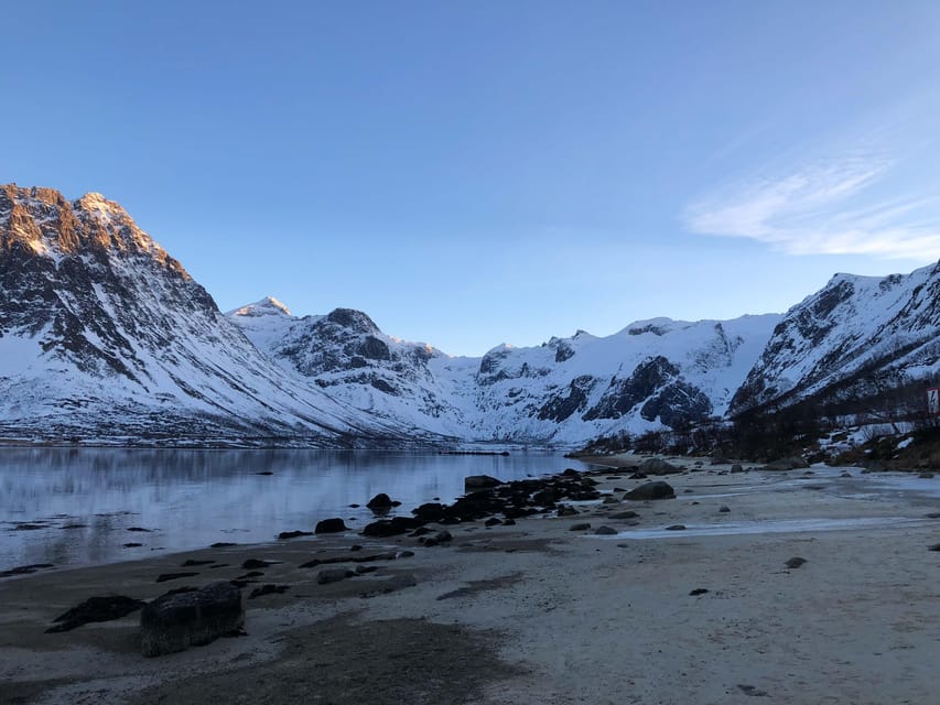 Tromsø: Fjords & Beaches Tour with Campfire and Arctic Food - Price and value: is $304 fair for what you get?