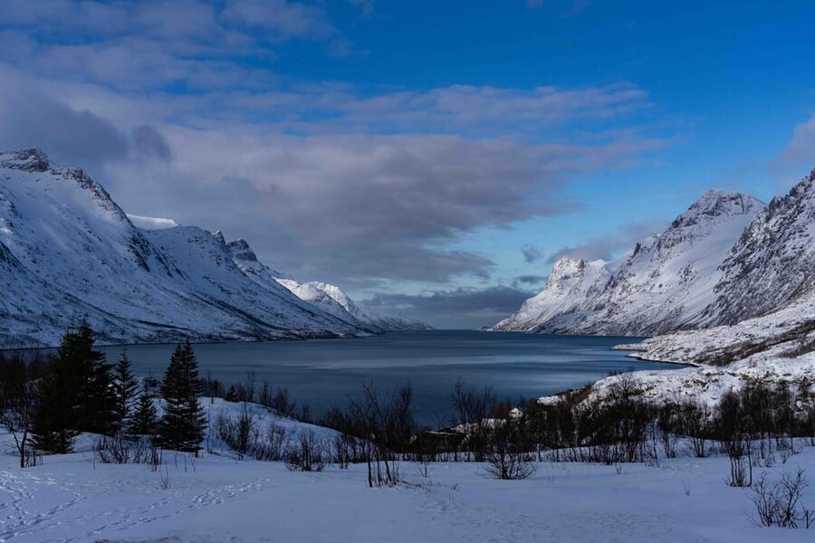 Tromsø: Fjords & Beaches Tour with campfire and Arctic food - Sommarøy stop: fjords, frozen lakes, and Arctic beach time