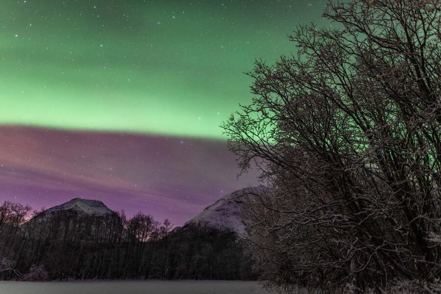 Tromsø: Fjords & Beaches Tour with campfire and Arctic food - Small-group vibes with guides who adjust to the weather