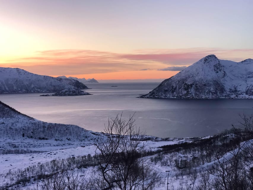 Tromsø: Fjords & Beaches Tour with campfire and Arctic food - Price and value: is $310.85 per person worth it?