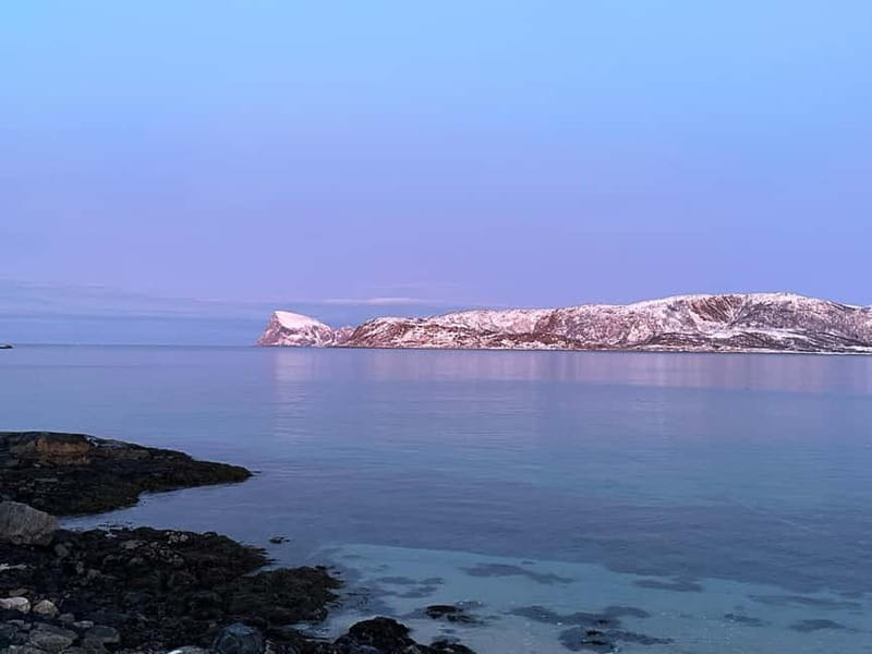 Tromsø: Fjords, Mountains and City Highlights Day Tour - Key Highlights You Should Not Miss