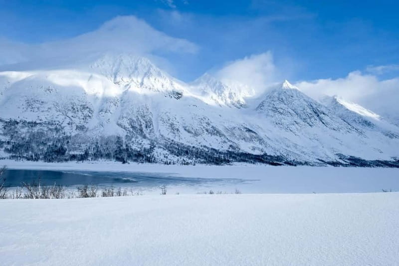 Tromsø: Fjords, Mountains and City Highlights Day Tour - Tromsø by Day: Why This Mix Works