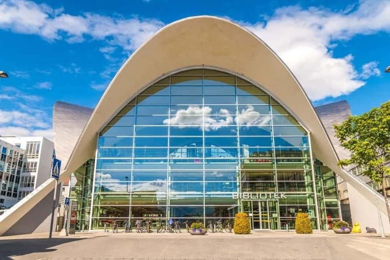 Tromsø: Fjords, Mountains and City Highlights Day Tour - What to Bring (and What to Skip) for a Smooth Ride
