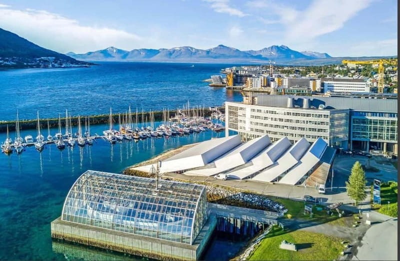 Tromsø: Fjords, Mountains and City Highlights Day Tour - Timing and Meeting Point: A Straightforward Noon Start