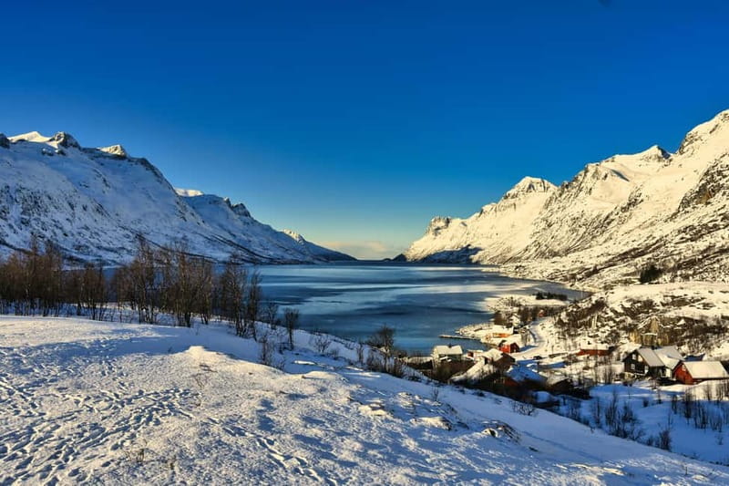 Tromsø: Fjords & Sommarøy Tour with Warm Local Lunch Option - Key points that make this tour worth your time