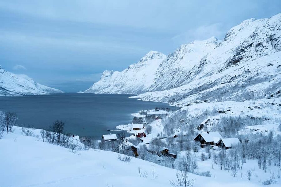 Tromsø: Fjords & Sommarøy Tour with Warm Local Lunch Option - Ersfjordbotn: the best wildlife-stop timing on the route
