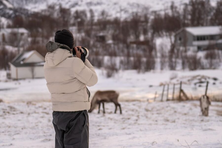 Tromsø: Fjords Tour - Tromsø Fjords Tour: the road-trip style that makes the Arctic feel close