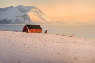 Fjords Tour
