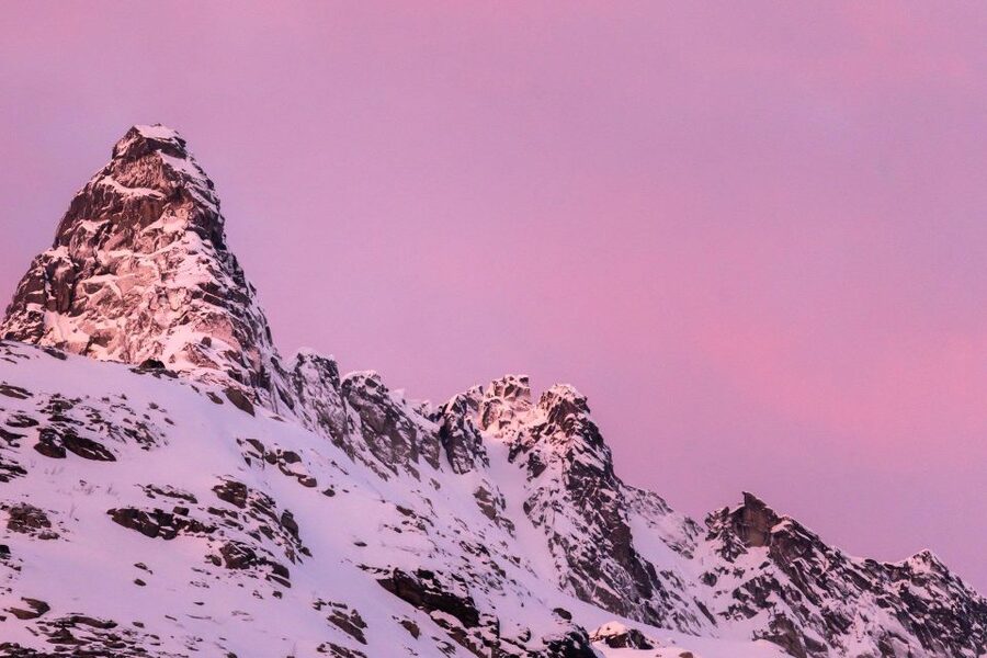 Tromsø: Fjords Tour - Wildlife viewing without the chase: how to actually spot reindeer, otters, and more