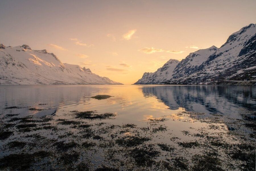 Tromsø: Fjords Tour - Fishing village photo stop: the quieter side of the fjords