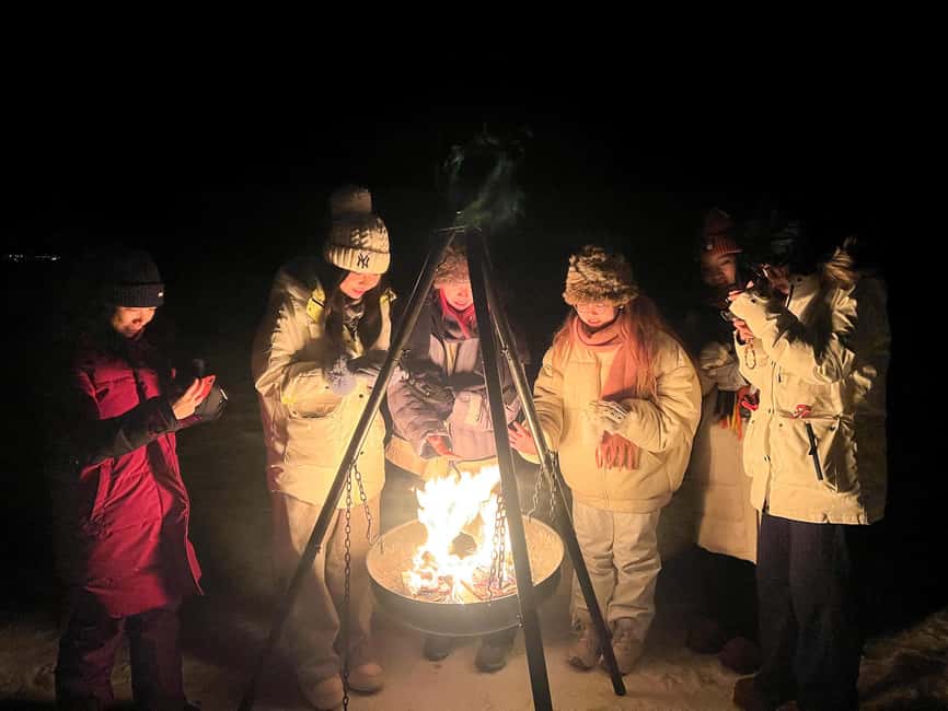 Tromsø: Full Night Magic of the Northern Lights - Timing, Stops, and the Bathroom Reality