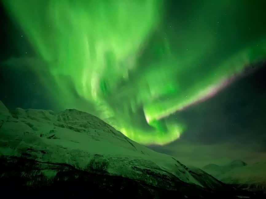 Tromsø: Full Night Magic of the Northern Lights - Meeting Outside Magic Ice Bar Tromsø and Getting Set Up