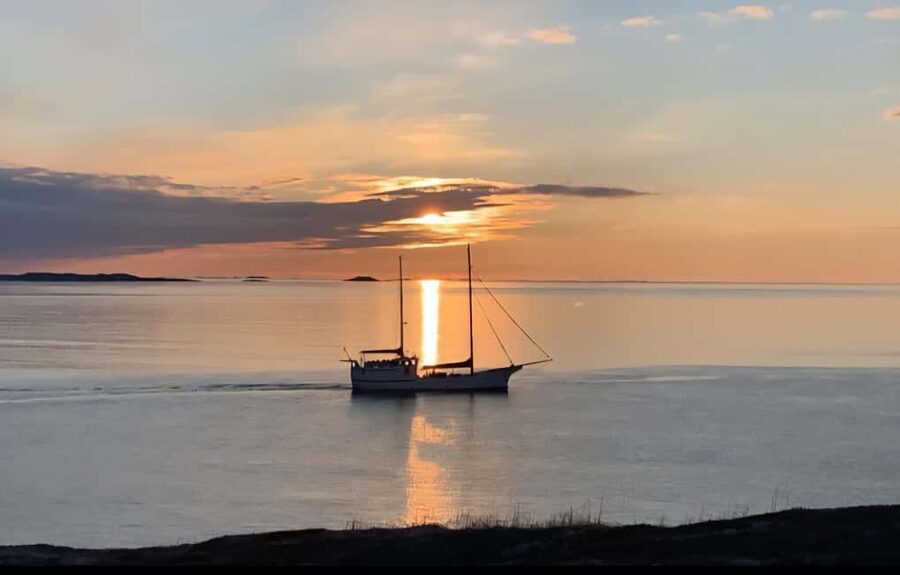 Tromsø: Guided Arctic Nature & Fjord Small Group Tour - Key highlights worth centering your day
