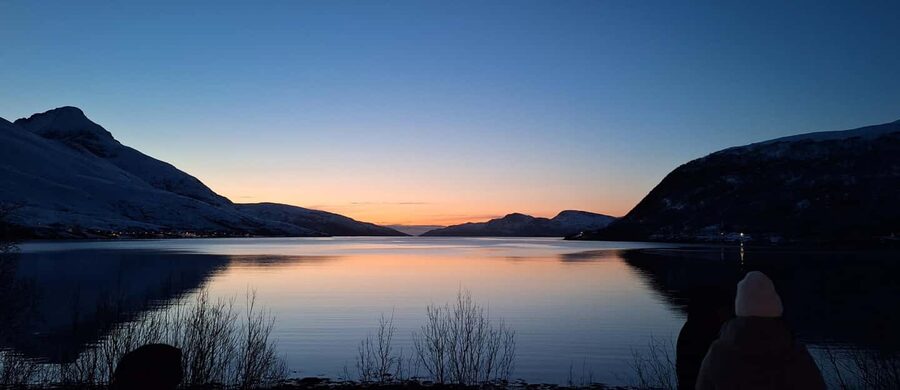 Tromsø: Guided Arctic Nature & Fjord Small Group Tour - The 5-hour flow: how the timing actually works
