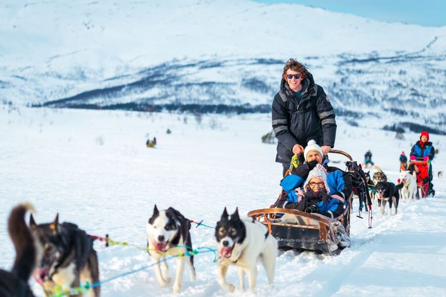 Tromsø: Guided Husky Sledding with Traditional Lunch - Key points to know before you go