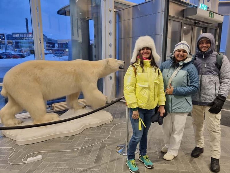 Tromsø: Guided Polar Bear Walk incl. Polaria & Polar Museum - Key things to know before you go