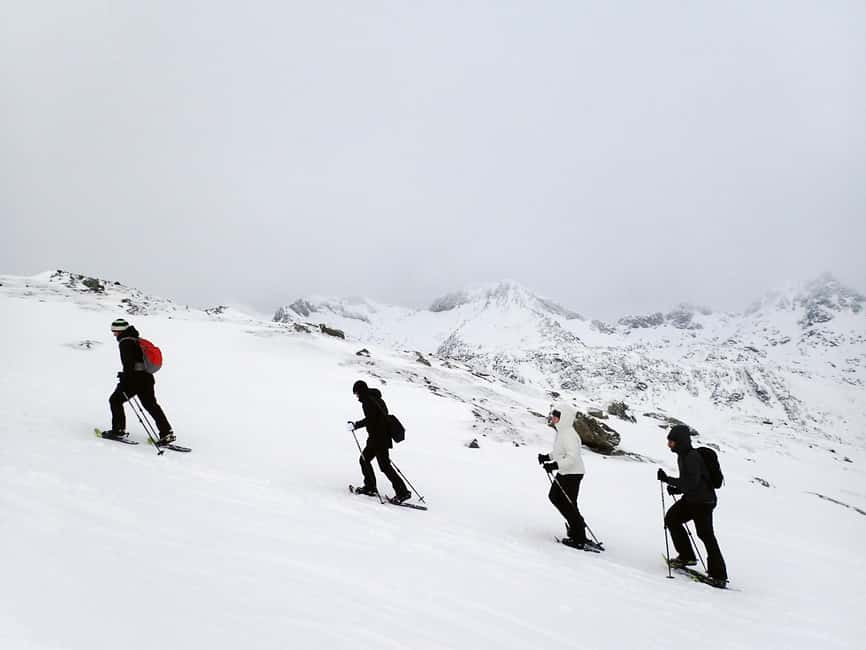 Tromsø: Guided snowshoe hill hike - The drive from Tromsø: fjords and passes set the mood